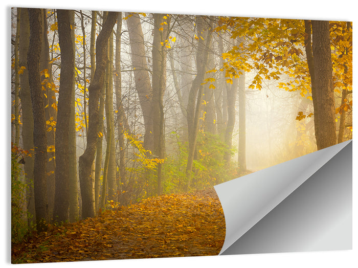 Cuyahoga Valley Autumn Path Wall Art as a poster print