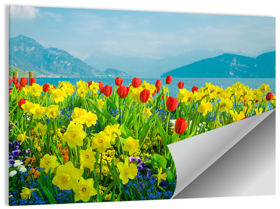 Lake Lucerne Daffodils Wall Art