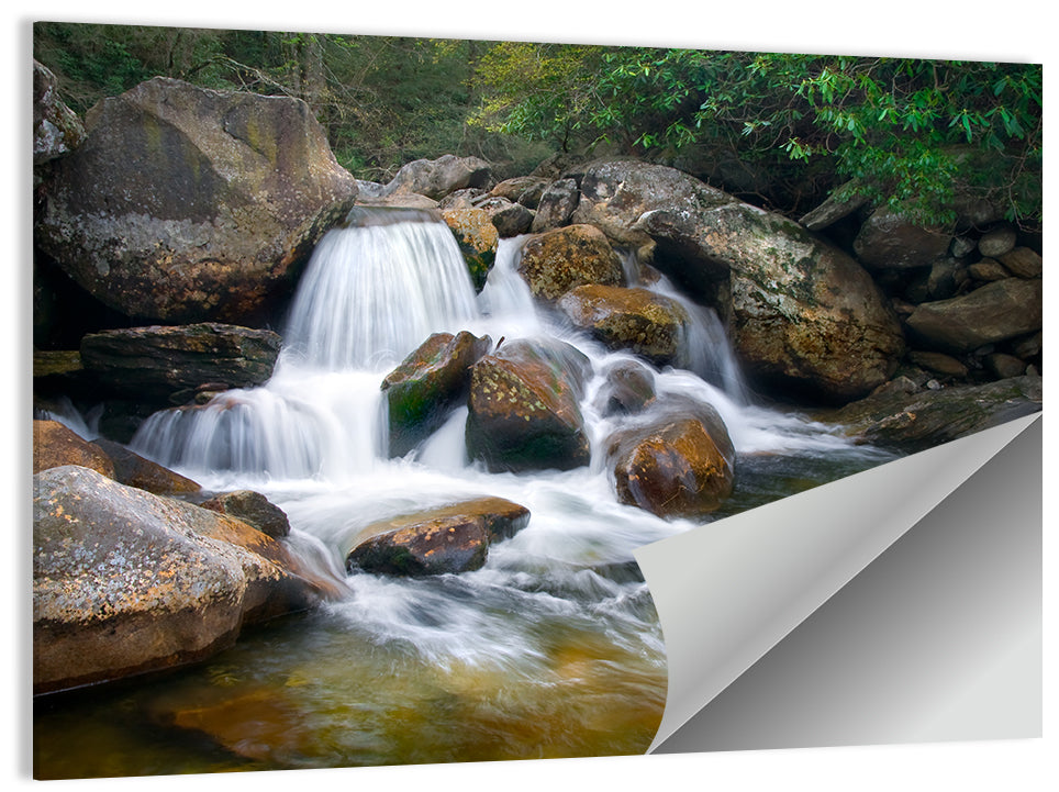 Blue Ridge Mossy Waterfall Wall Art