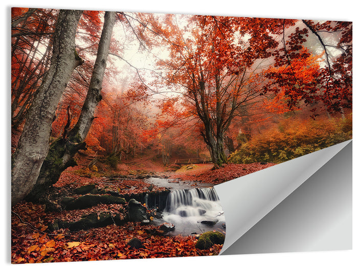 Autumn Forest Stream with Footbridge Wall Art as a poster print