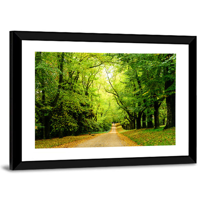 Sunlit Forest Pathway Wall Art as a framed print