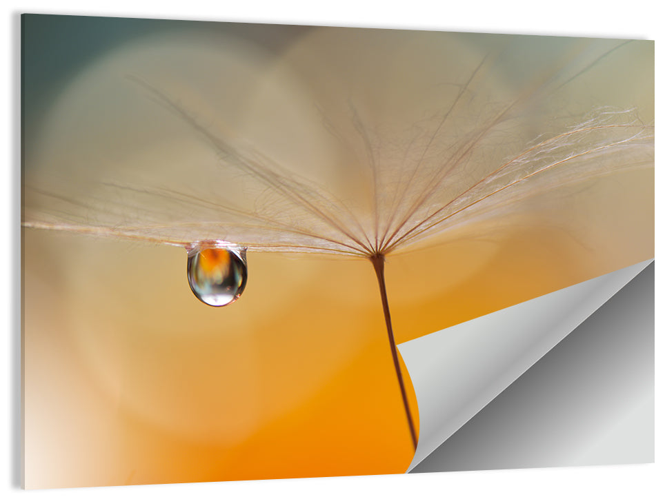 Dandelion Seed with Droplet Wall Art