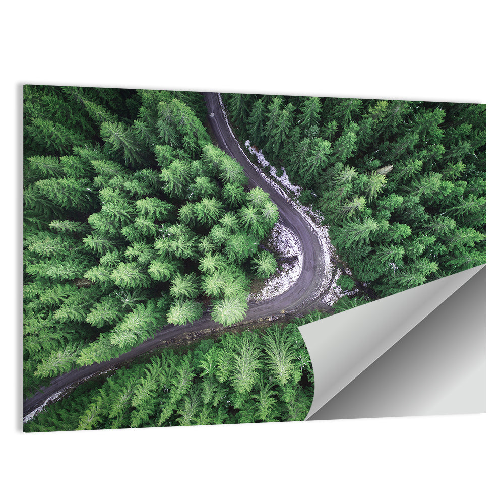 Aerial Forest Road Wall Art