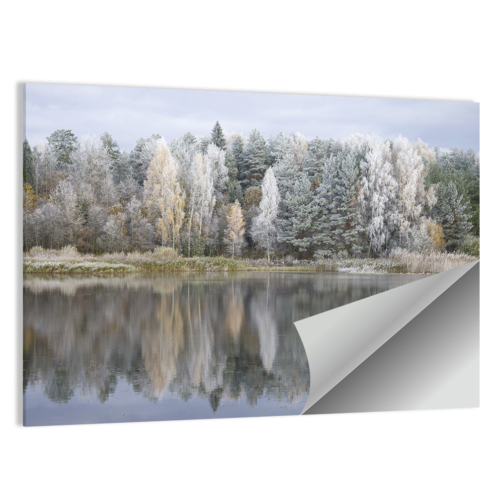 Pskov Region Forest Lake Wall Art