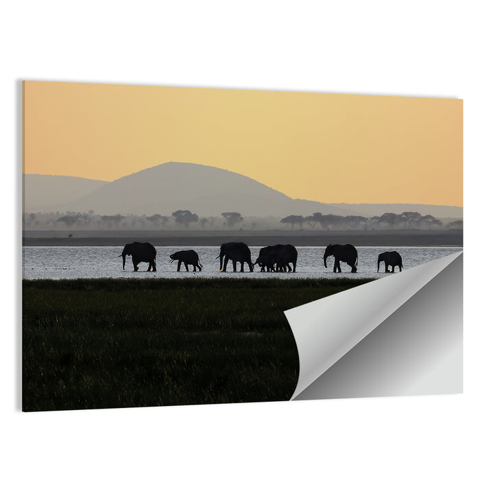Amboseli Elephants at Golden Sunset Wall Art as a poster print