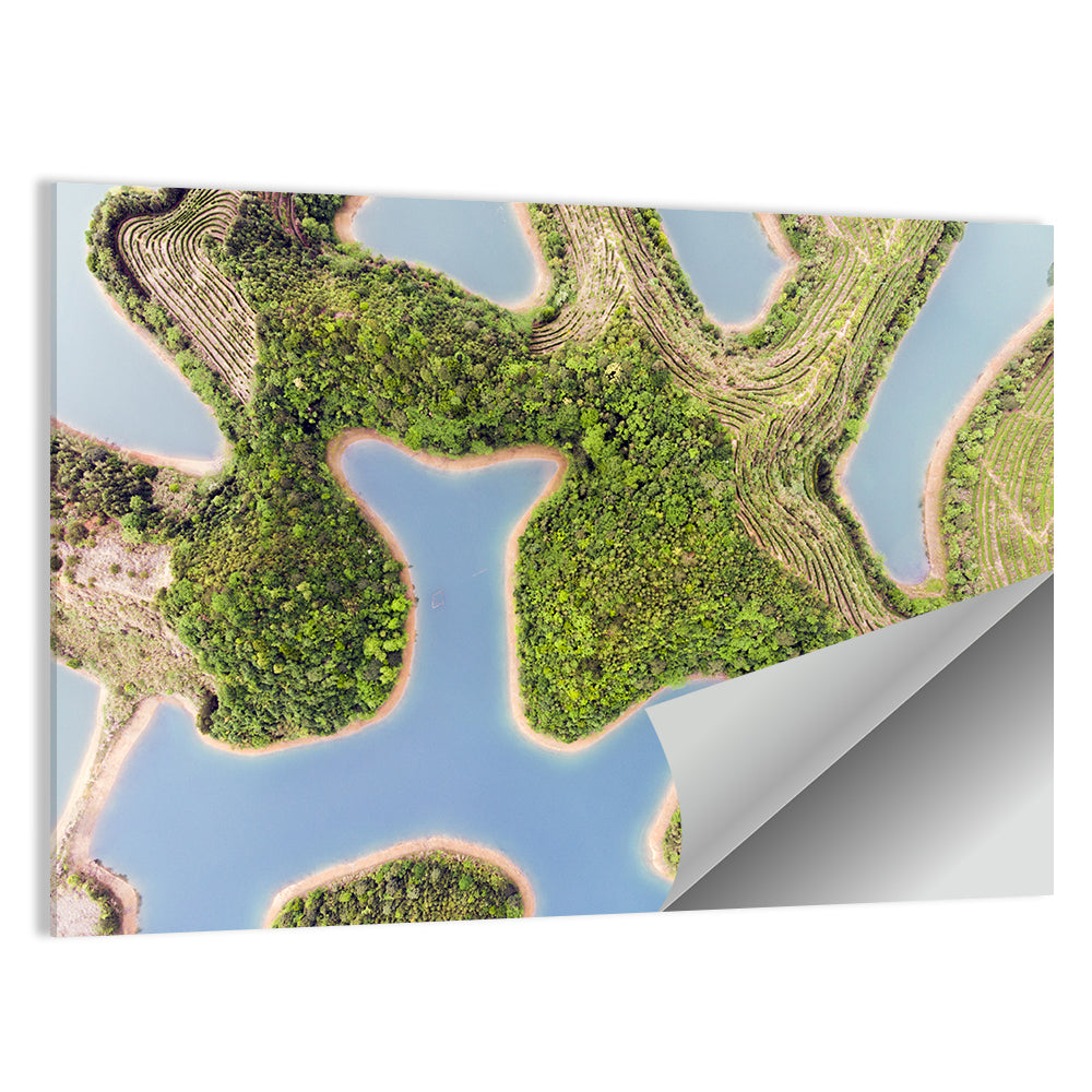 Thousand Island Lake Aerial View Wall Art