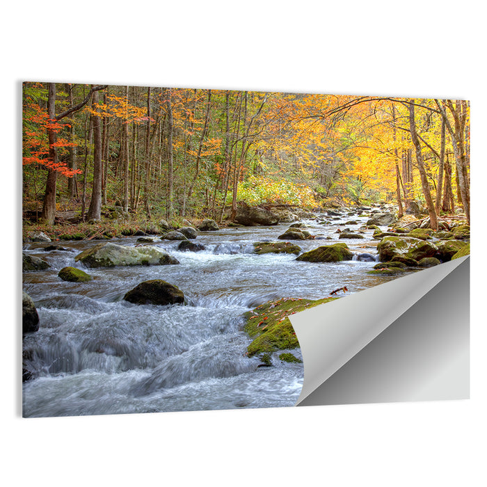 Autumn Mountain Stream Wall Art as a poster print