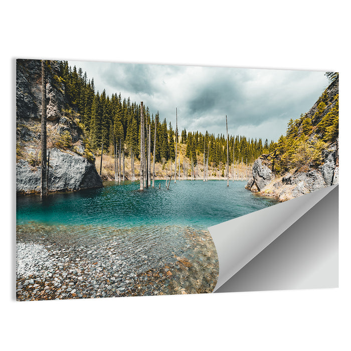 Sunken Forest at Kaindy Lake Wall Art as a poster print