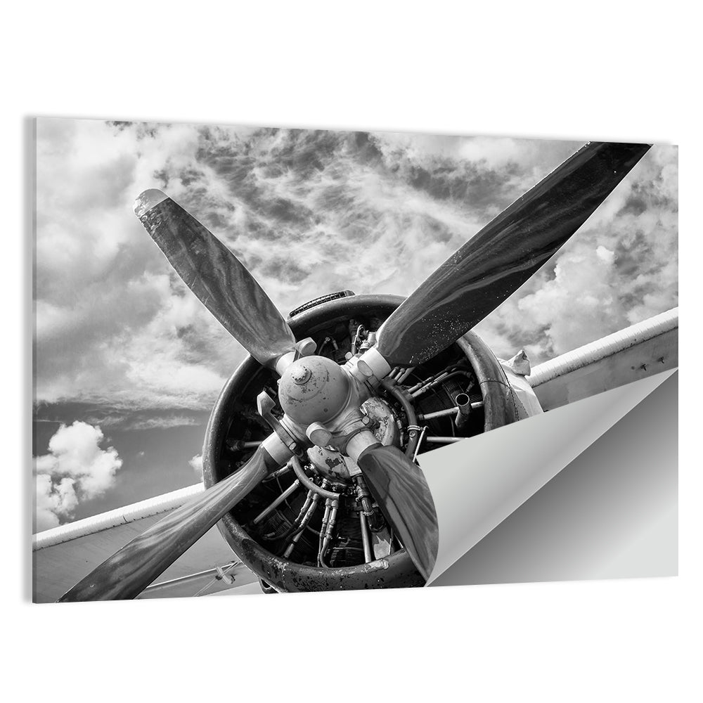 Vintage Airplane Radial Engine Close-up Wall Art