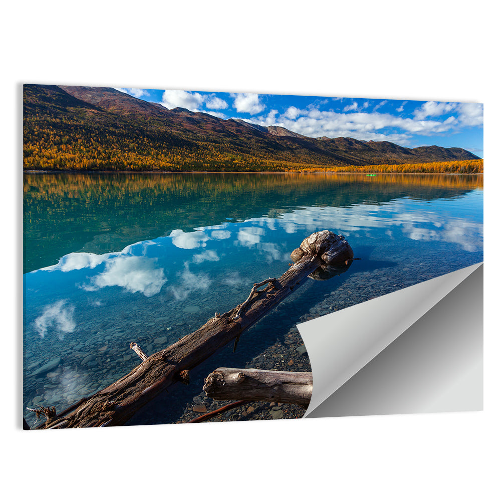 Autumn Driftwood at Eklutna Lake Wall Art