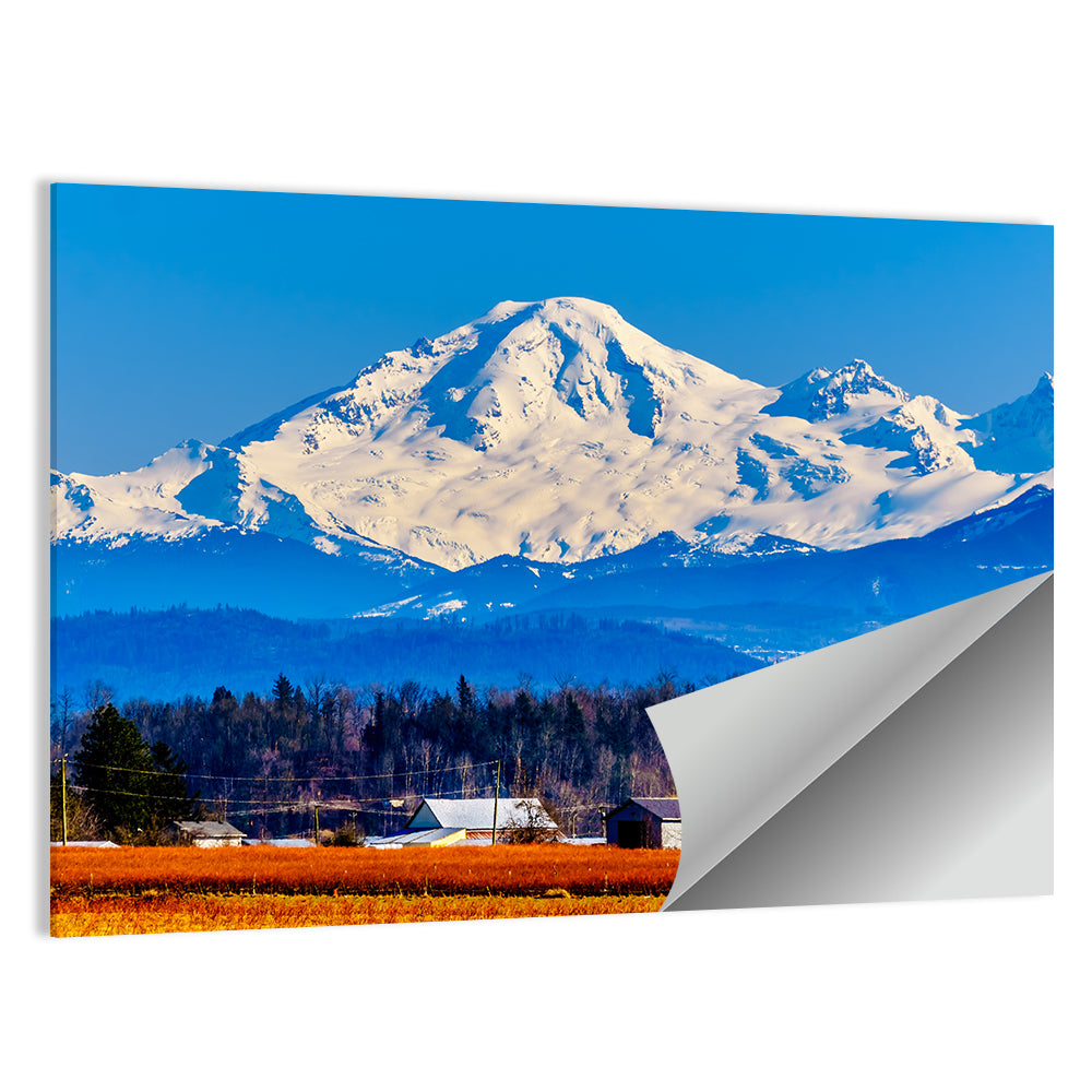 Mount Baker Fields Wall Art
