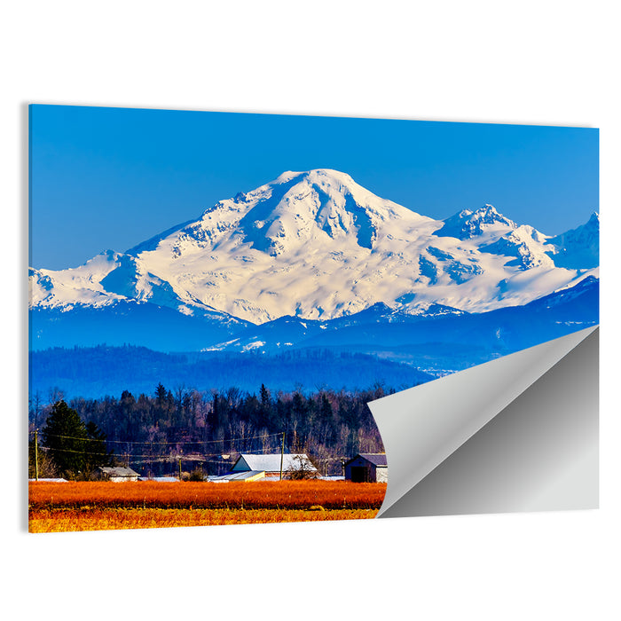 Mount Baker Fields Wall Art as a poster print