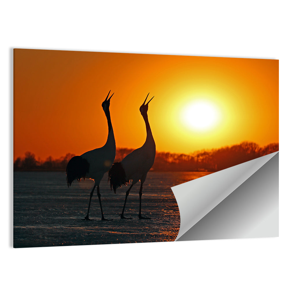 Red Crowned Cranes at Sunset Wall Art
