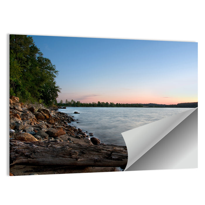 Lake Hartwell Driftwood Shoreline Wall Art as a poster print