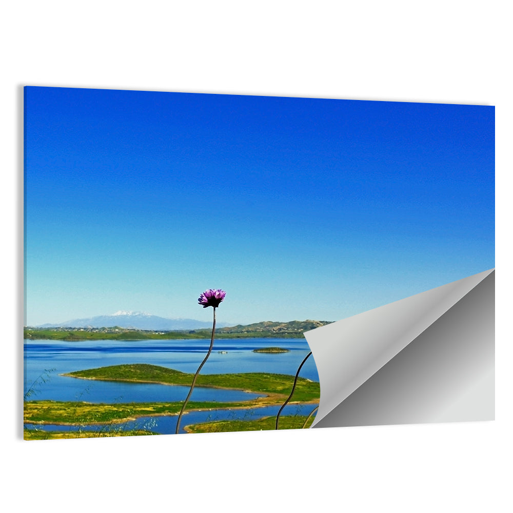 Lake Mathews Wildflower View Wall Art
