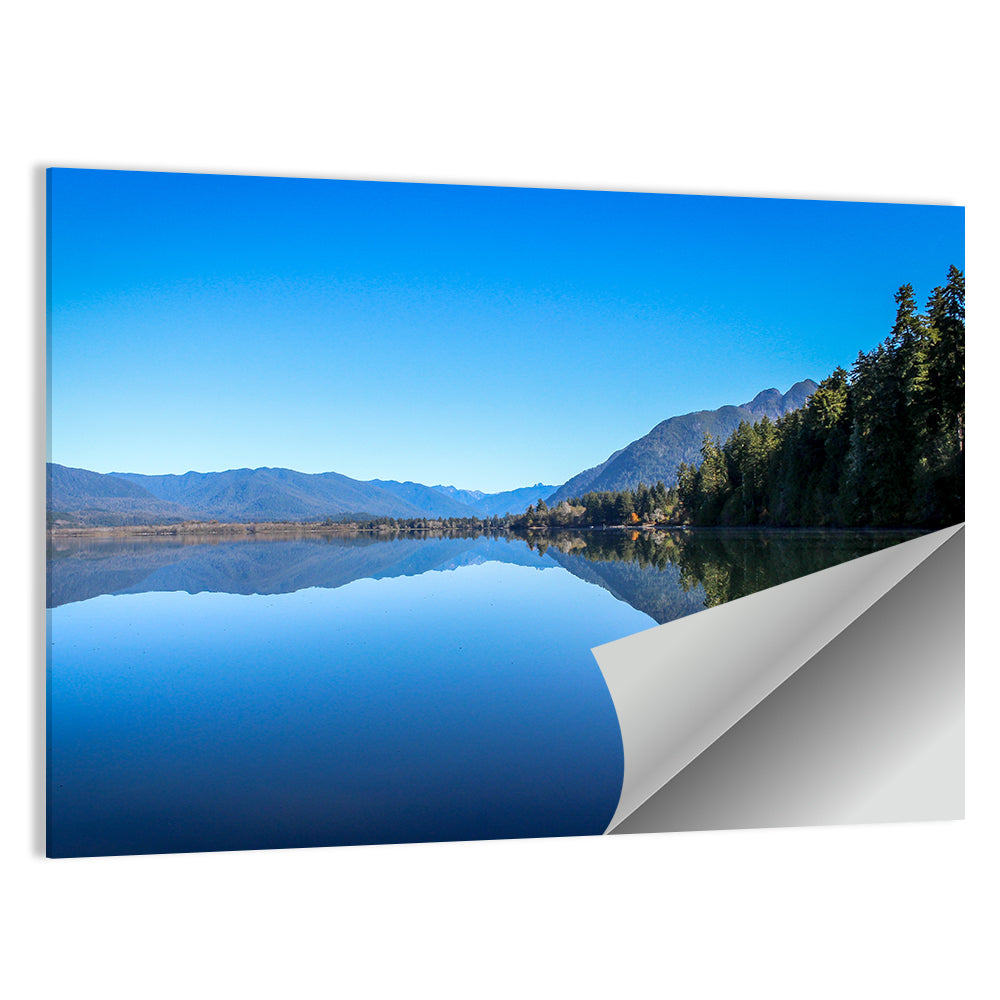 Lake Quinault Reflection Wall Art