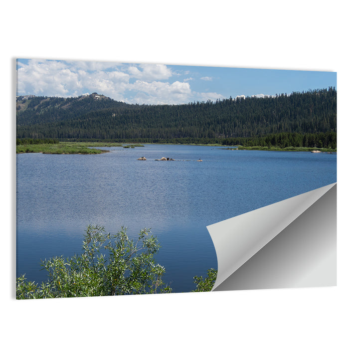 Lake Van Norden Wall Art as a poster print