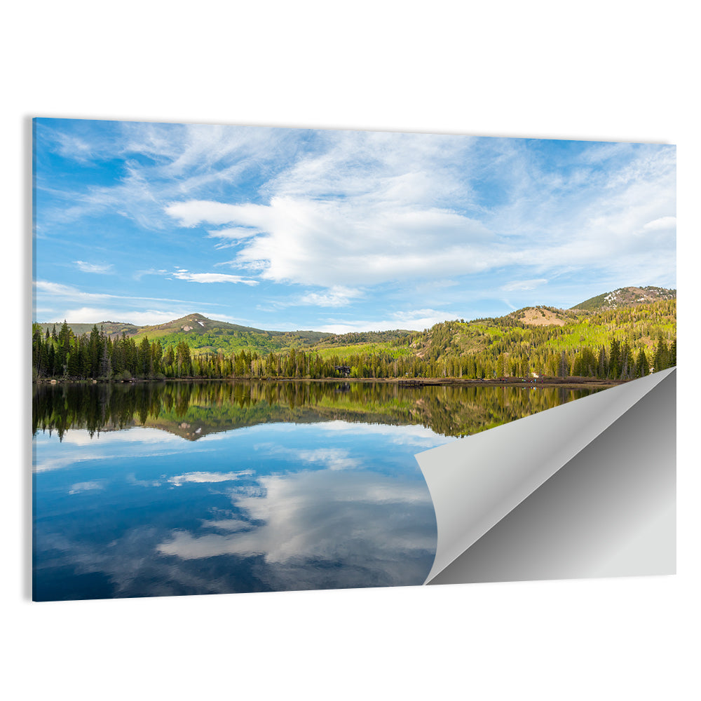 Silver Lake Reflection Wall Art