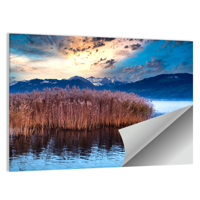 Lake Obersee Reeds at Dusk Wall Art as a poster print