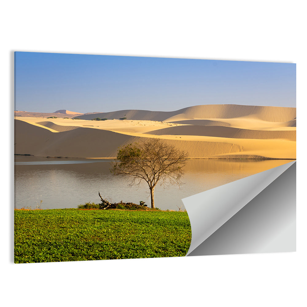 Mui Ne Lake and Sand Dunes Wall Art