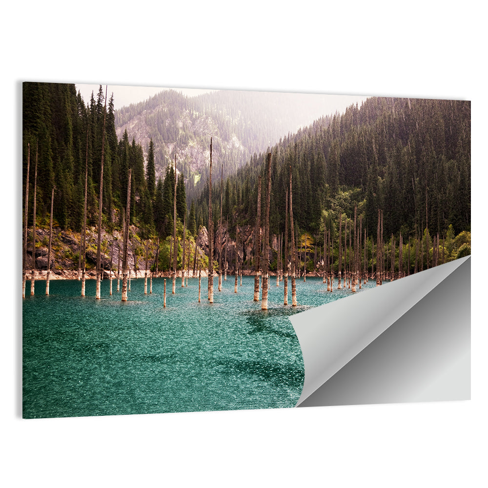 Kaindy Lake Submerged Spruces Wall Art