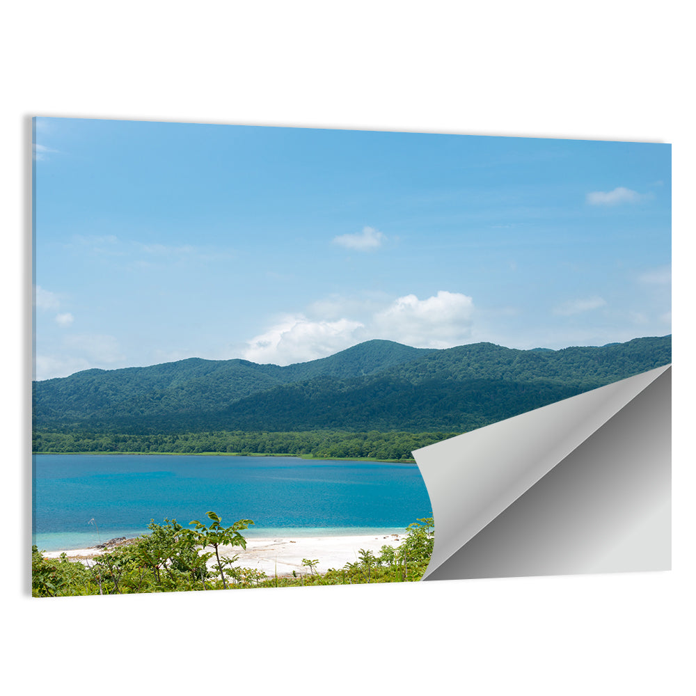 Usori Lake Shoreline Wall Art