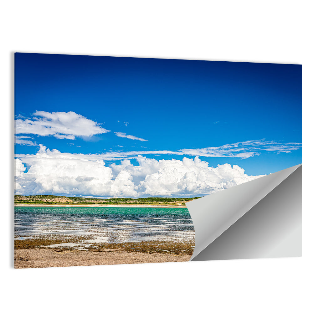 Lake Amistad Shoreline Wall Art