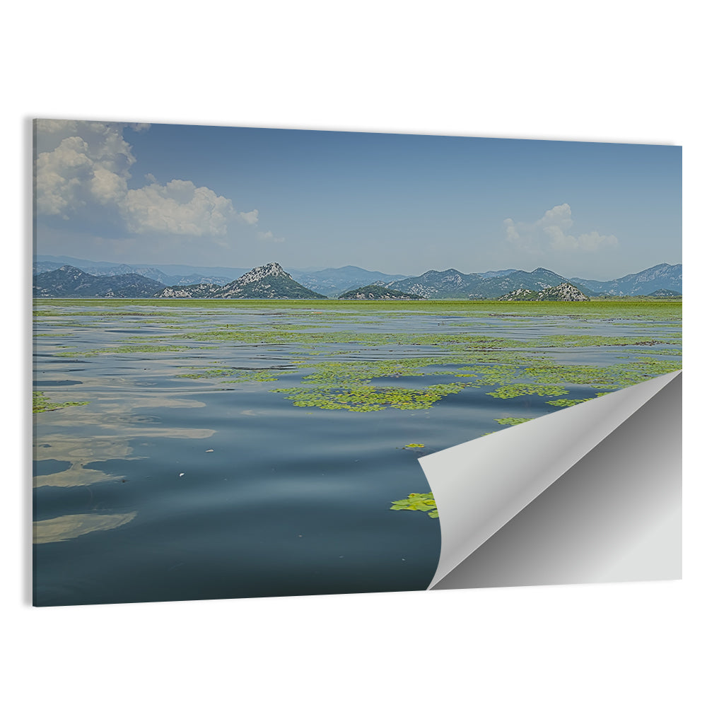 Lake Skadar Water Lilies Wall Art