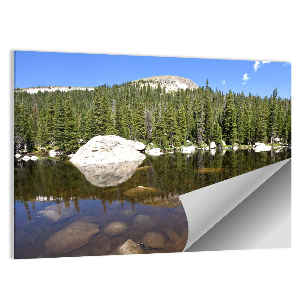 Colorado Forest Lake Reflection Wall Art