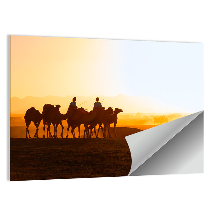 Omani Camel Riders Wall Art as a poster print