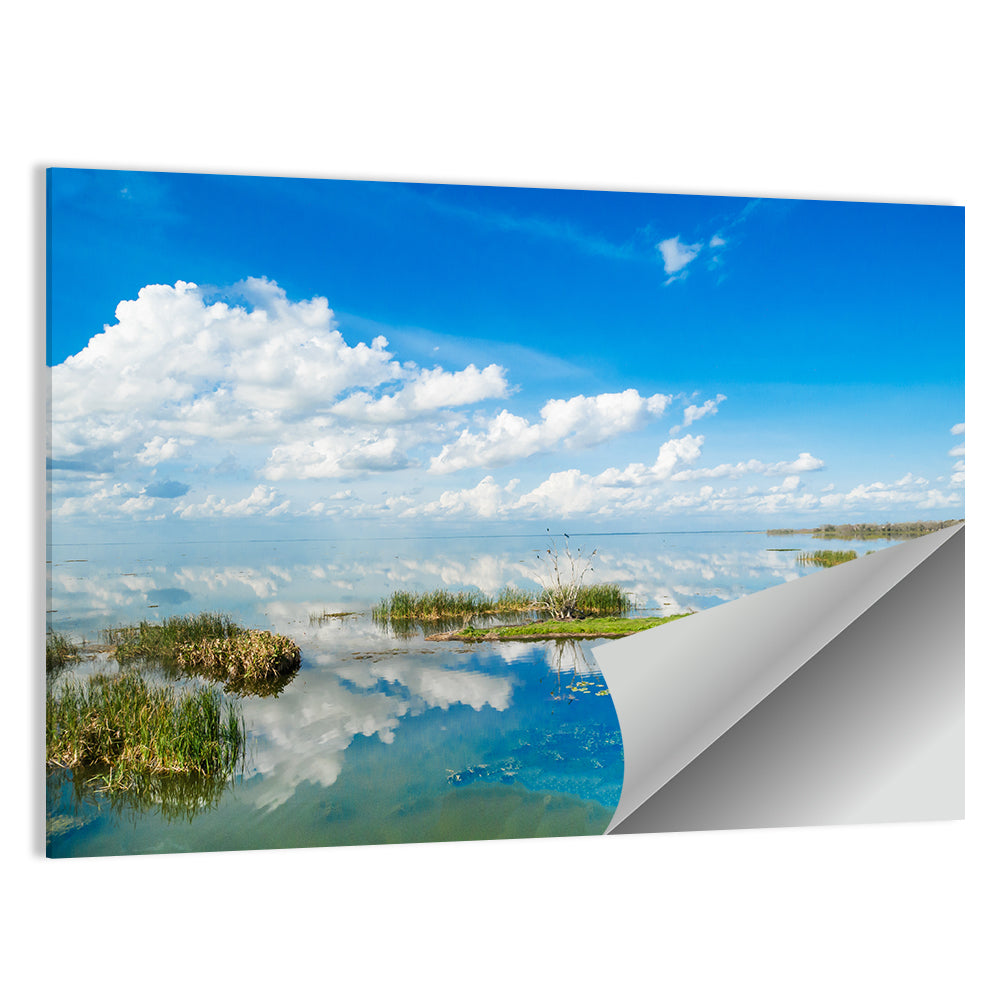 Lake Apopka Reflection Wall Art