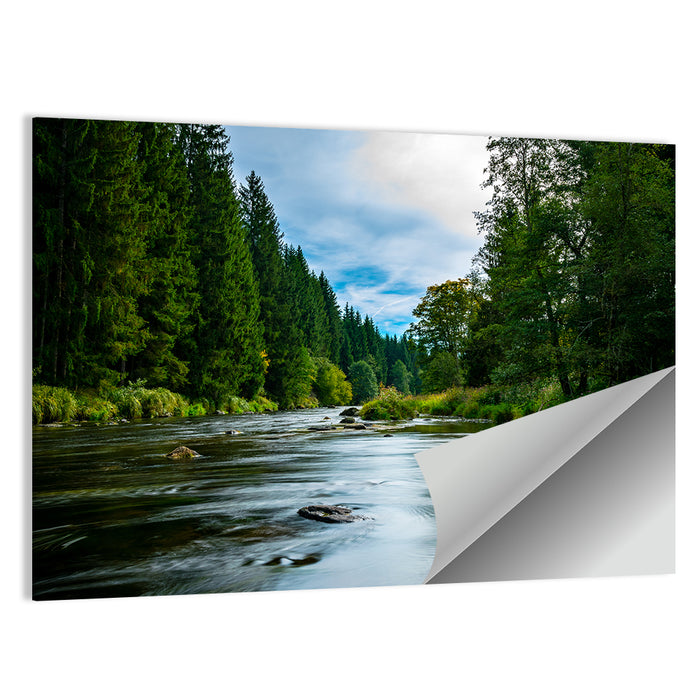 Bavarian Forest River Wall Art as a poster print