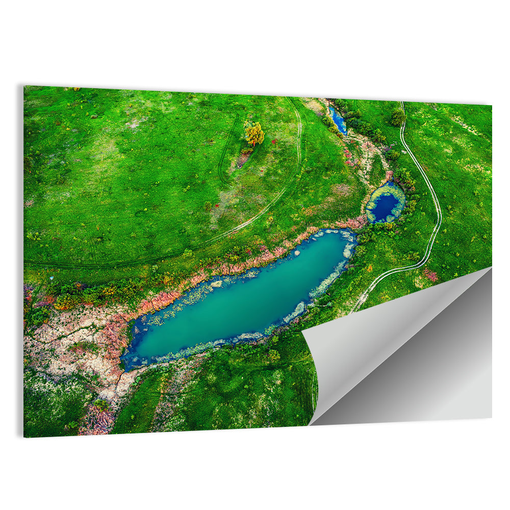 Meadows Lake Aerial Wall Art