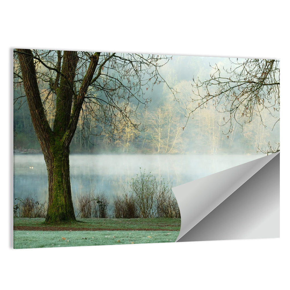 Deer Lake, Burnaby Wall Art