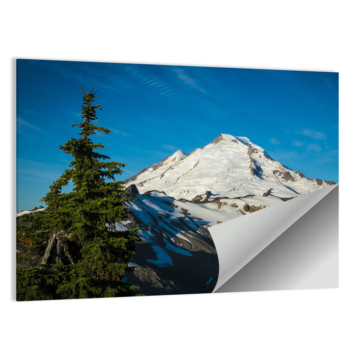 Mount Baker Wall Art as a poster print