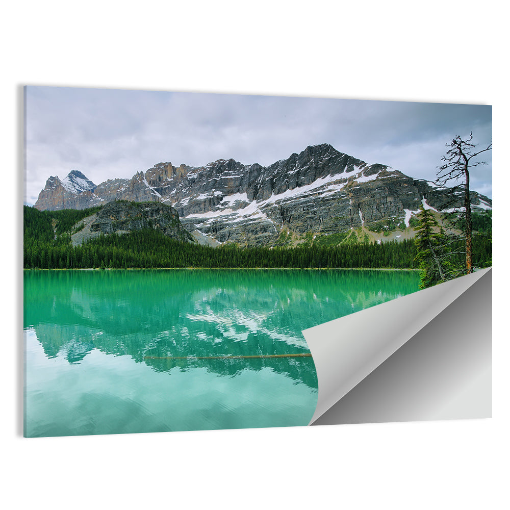 Lake O'hara Reflection Wall Art