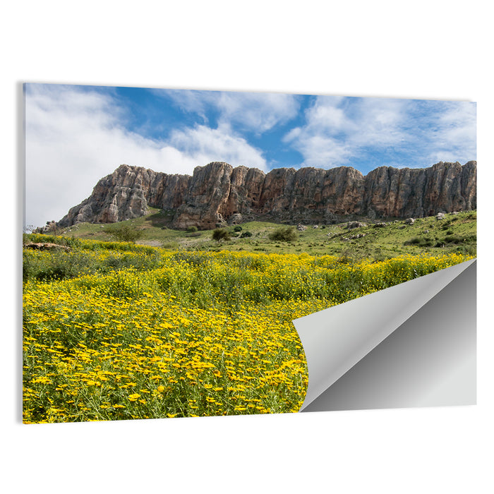 Mount Arbel Wildflower Meadow Wall Art as a poster print