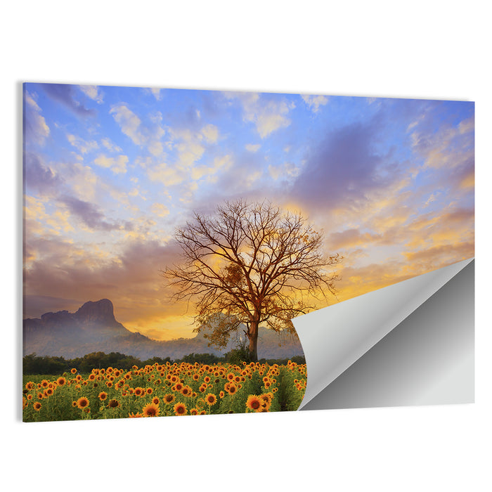 Sunflower Field at Sunset Wall Art as a poster print