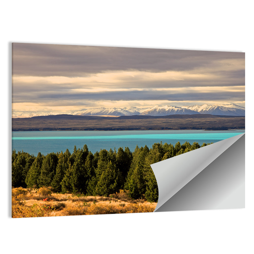 Lake Pukaki Turquoise View Wall Art