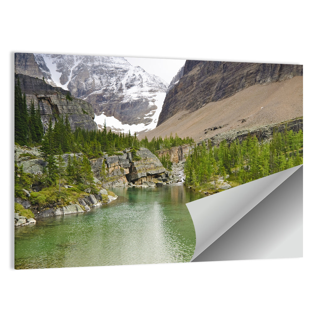 Lake Oesa Alpine View Wall Art