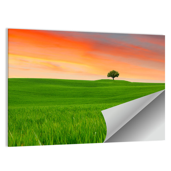 Tuscany Sunset Hills Wall Art as a poster print
