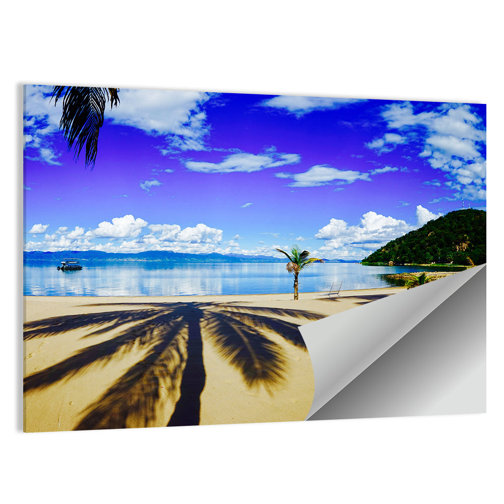 Lake Malawi Palm Shadow Wall Art