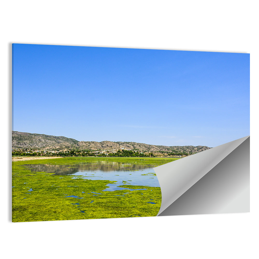 Uchali Lake Algae Reflection Wall Art