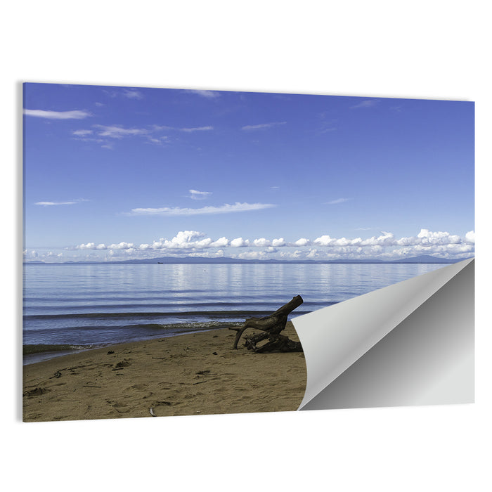 Shallow Lake Khanka Wall Art as a poster print