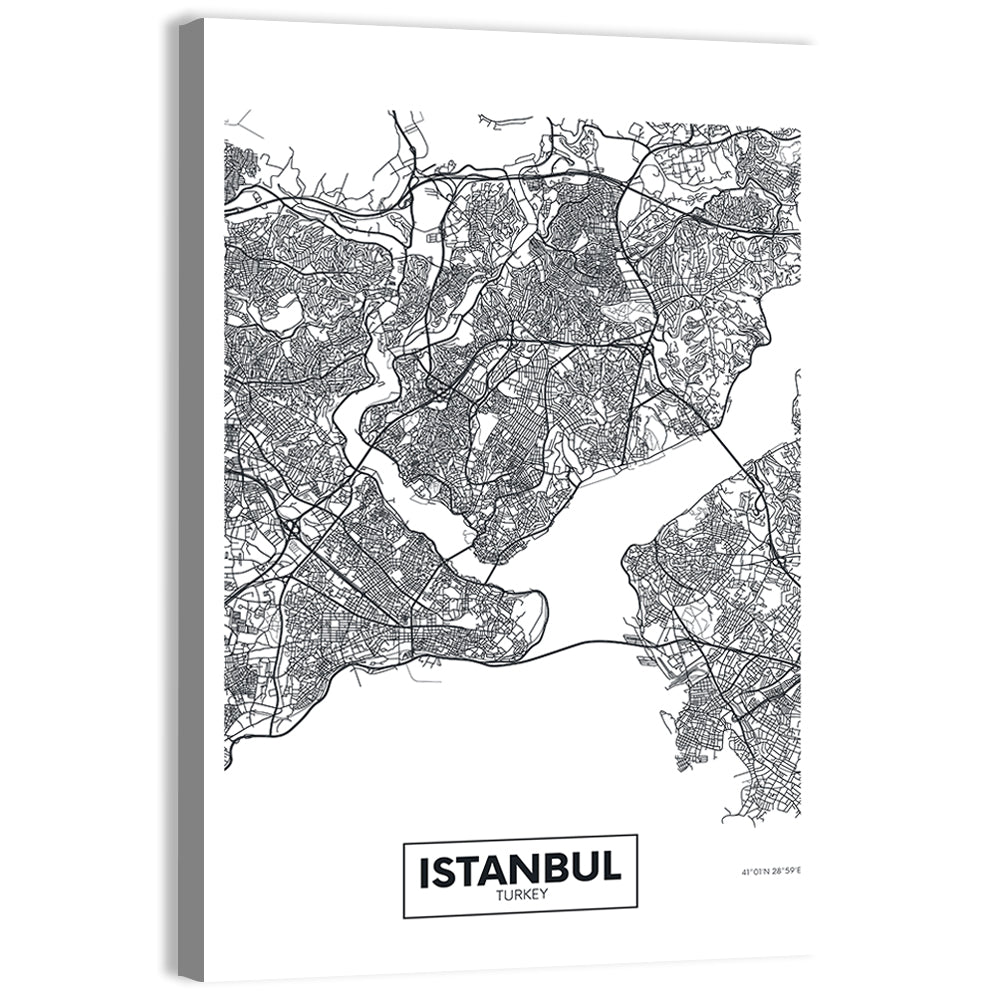 Istanbul City Map Wall Art, canvas print, portrait