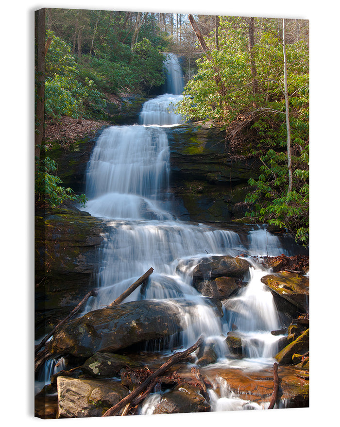 Desoto Falls Cascading Waterfall Wall Art as a canvas print