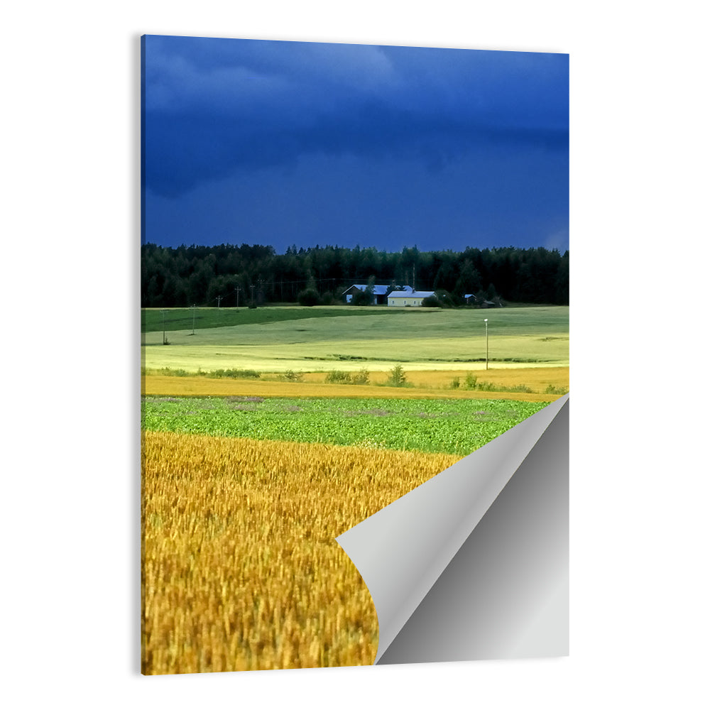 Cornfields Under Stormy Sky Wall Art