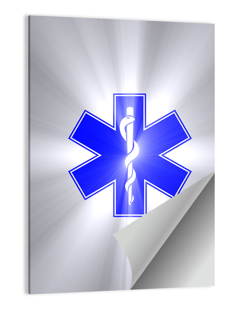 Star of Life with Rod of Asclepius Wall Art