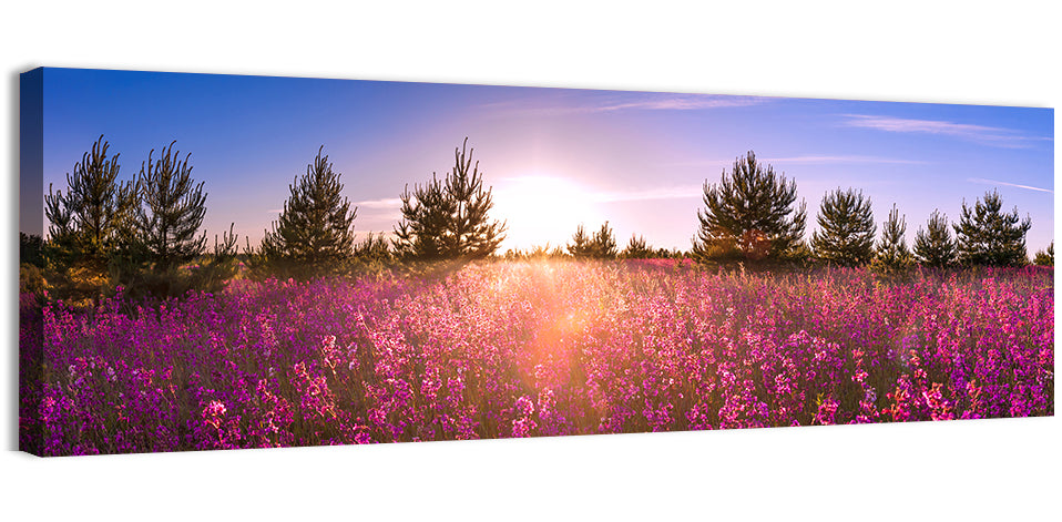 Sunrise Wildflower Meadow Wall Art, canvas print, panoramic