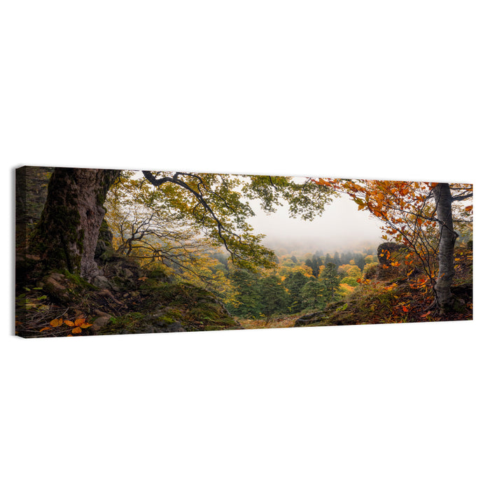 Enchanted Forest Valley Wall Art as a canvas print
